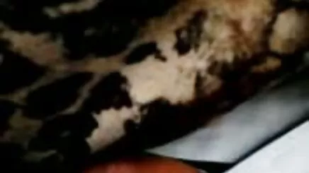 Anal seks turk amator sevisme Partisi