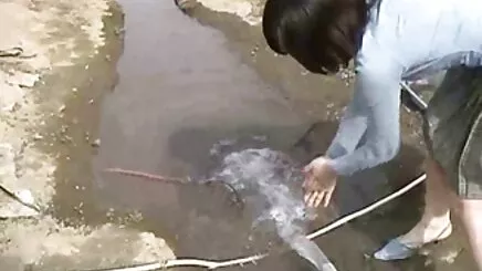 Tayvan onu porn ametor beceriyor